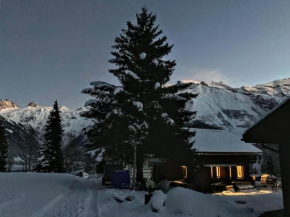 Engelberg, Renovated Chalet in Wonderful Location